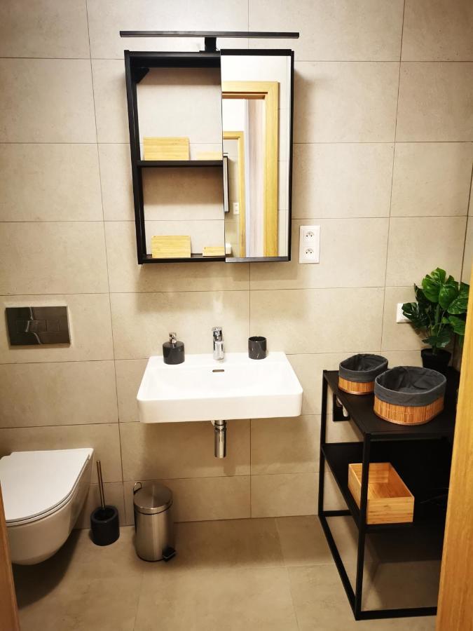 Apartman Mlynska Strouha Plzen Exterior photo